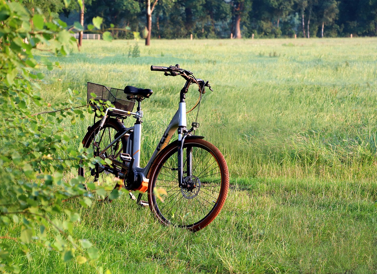 Bicicletta elettrica con motore pedalata assistita per mobilità urbana sostenibile