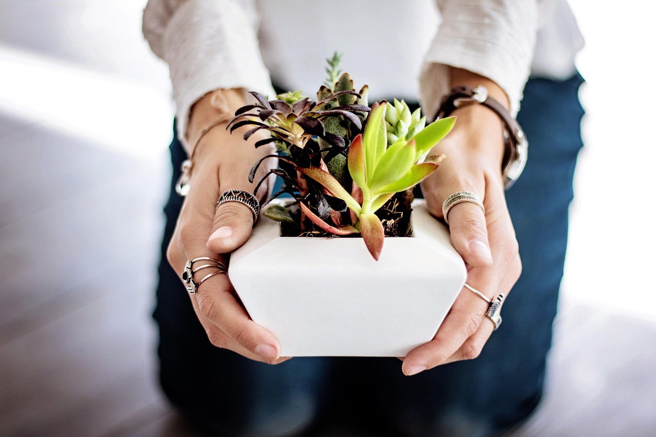 Grow box idroponica con LED per coltivazione indoor