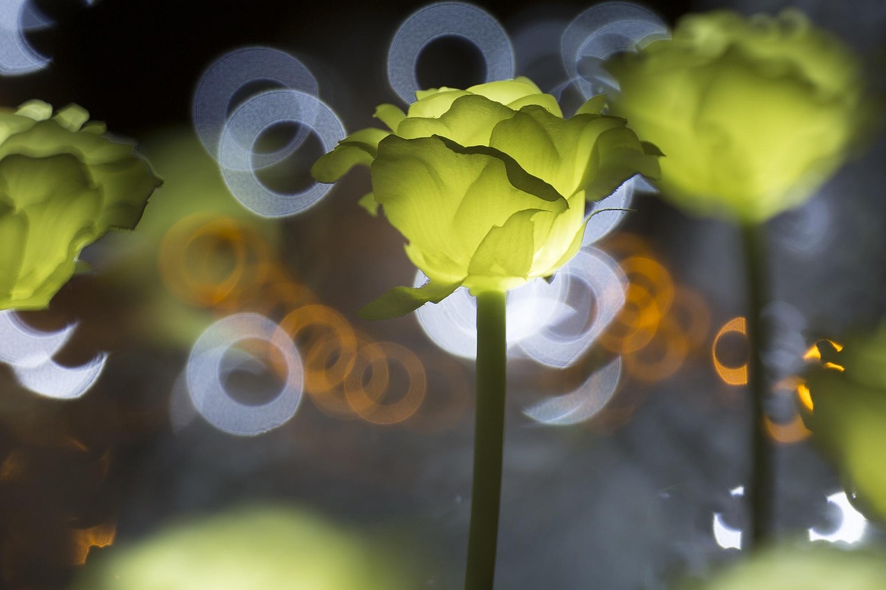 Illuminazione da esterno LED: lampade e faretti efficienti per giardino e terrazzo